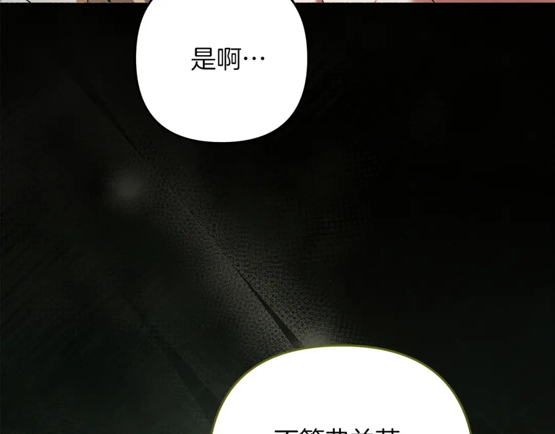 第215页