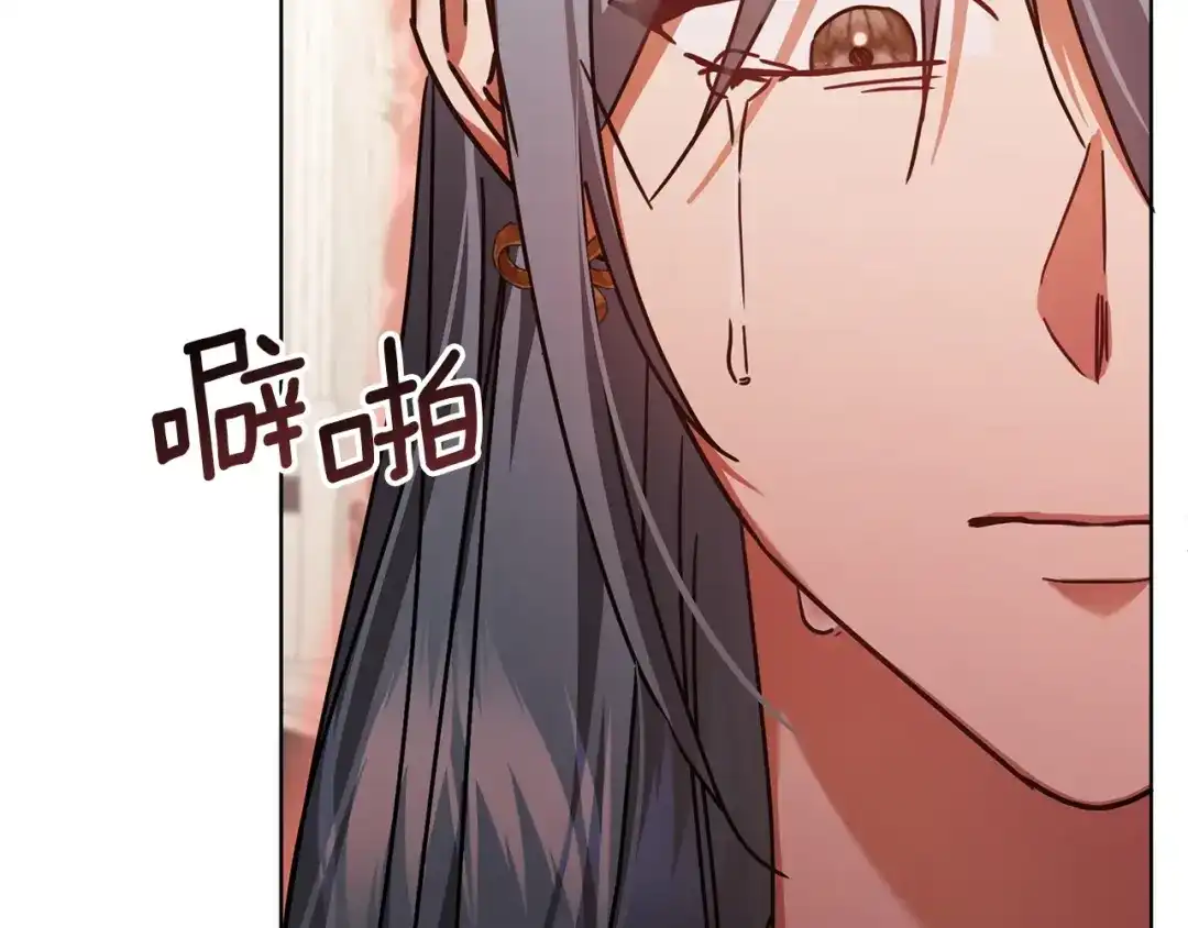 第219页