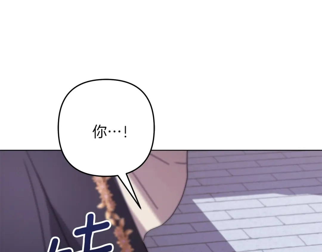 第239页