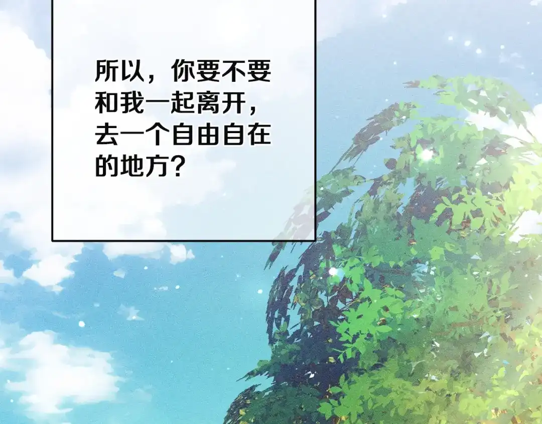 第219页