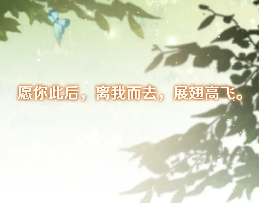 第256页