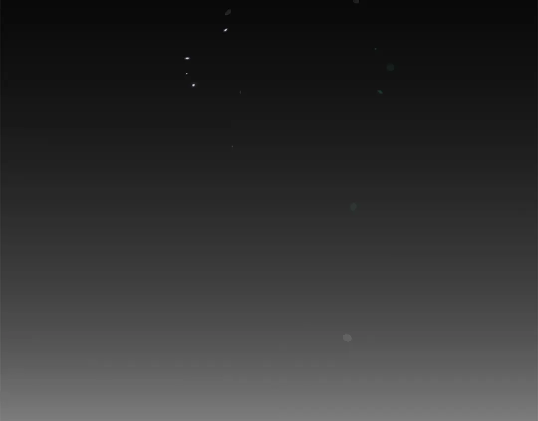 第204页