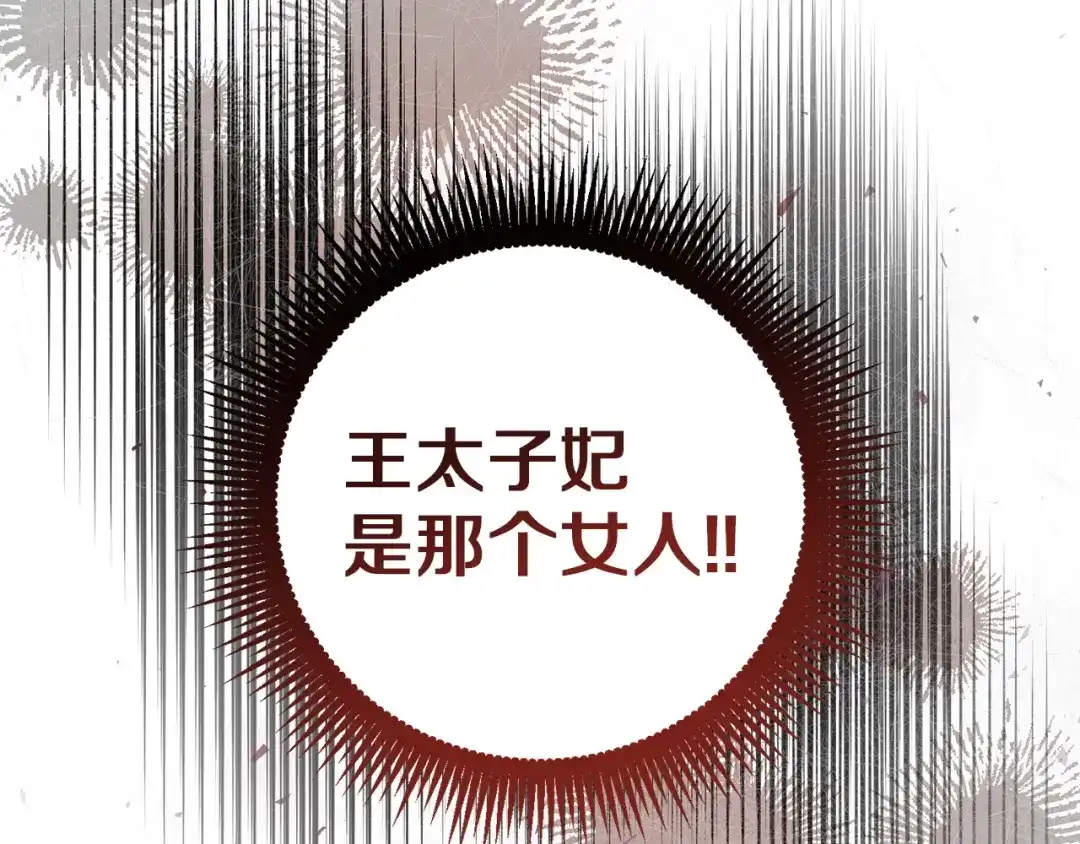 第233页