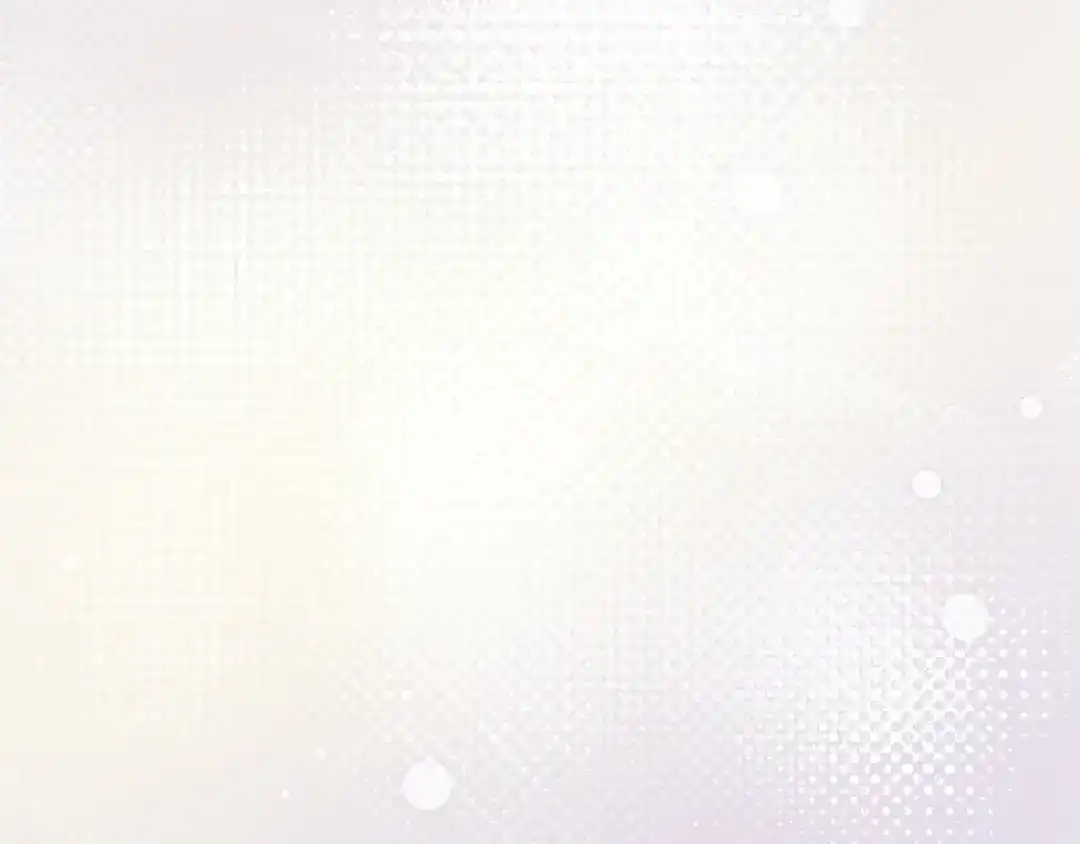 第204页