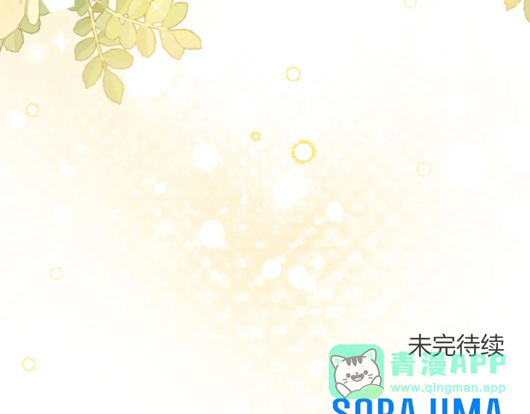 第206页