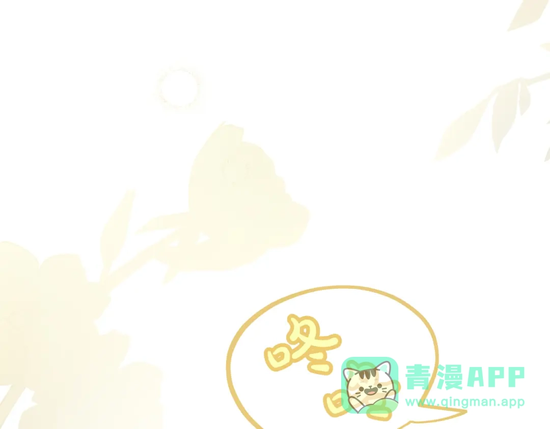 第206页