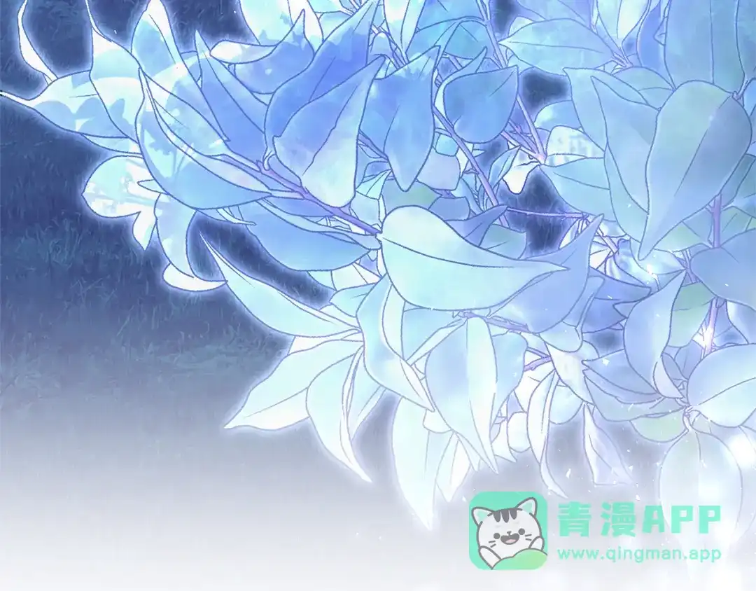 第206页