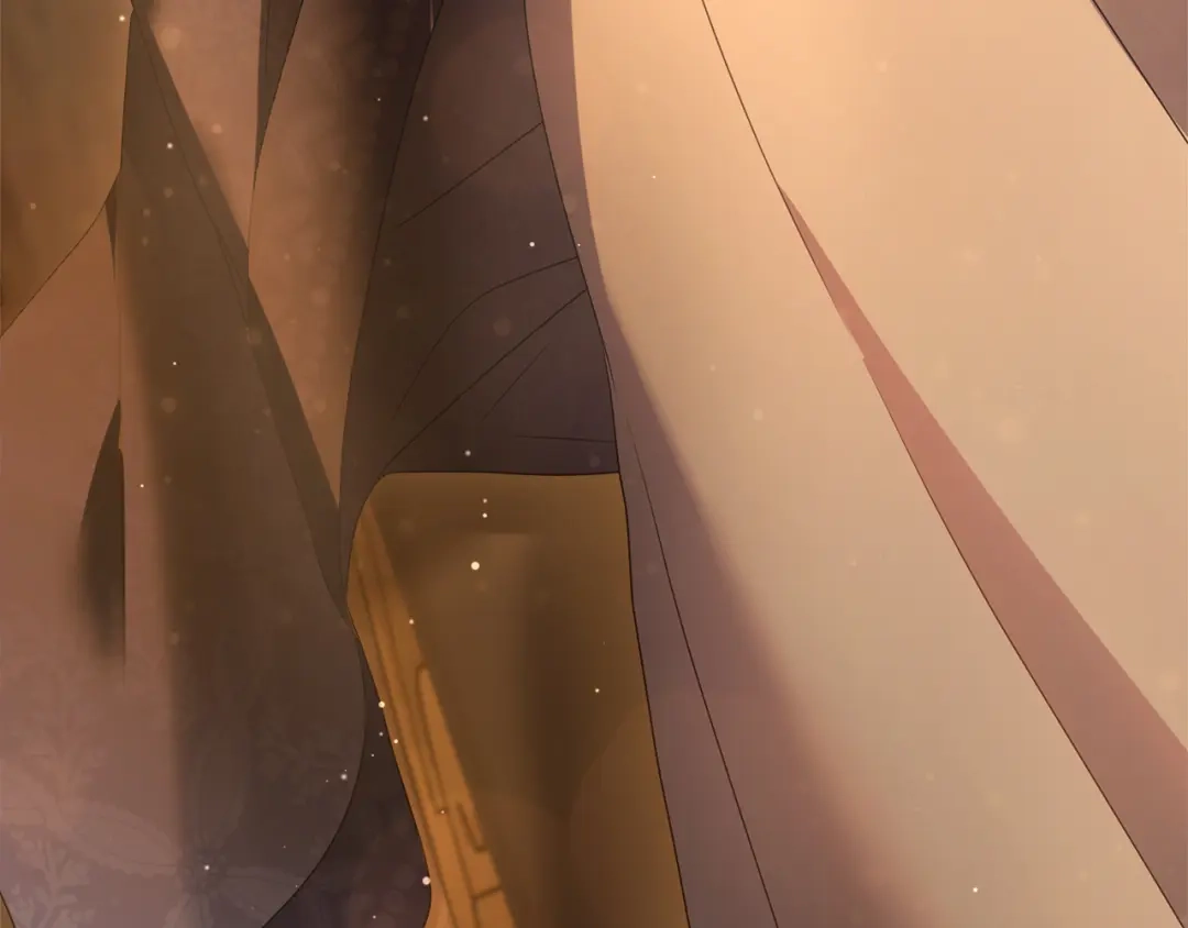 第215页