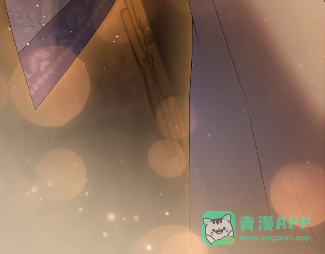 第216页