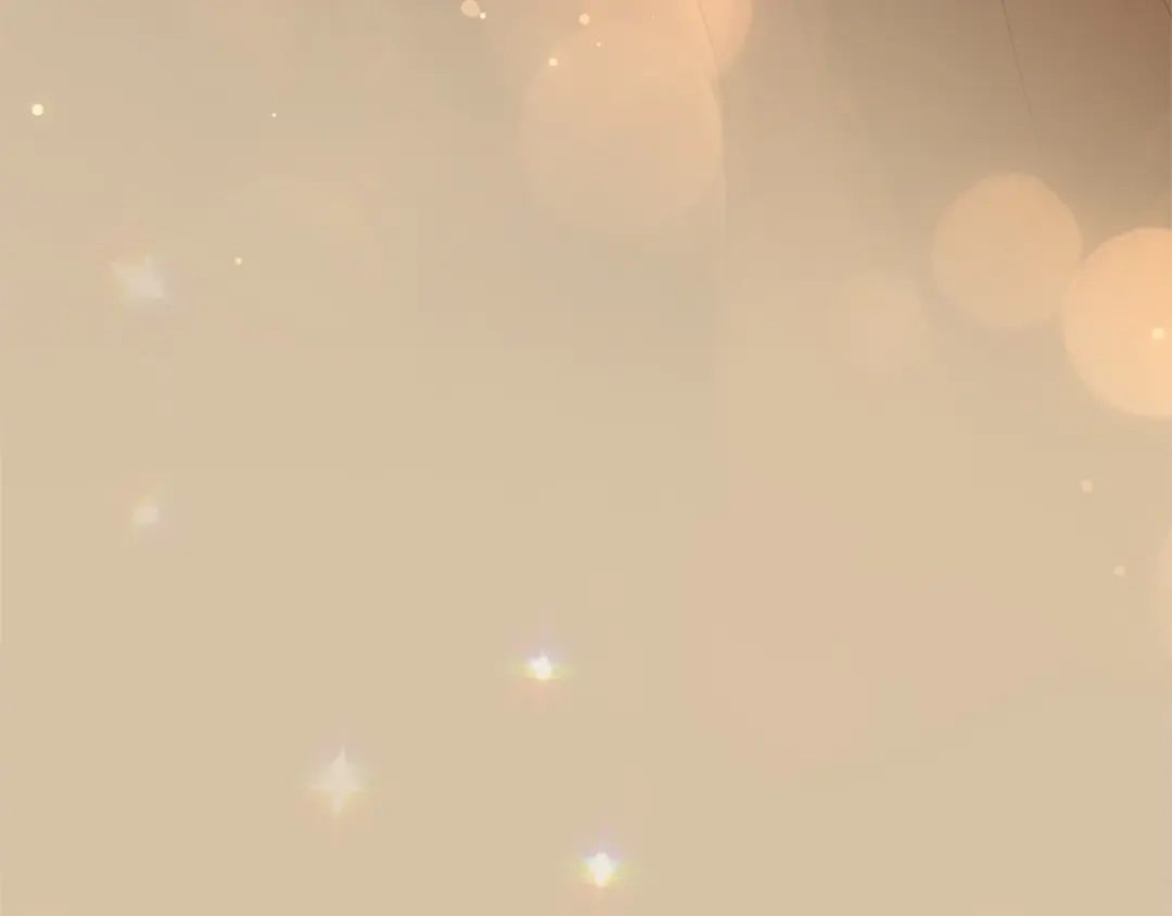 第217页