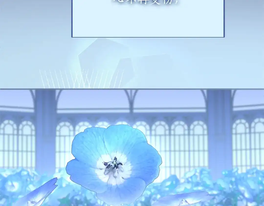 第217页