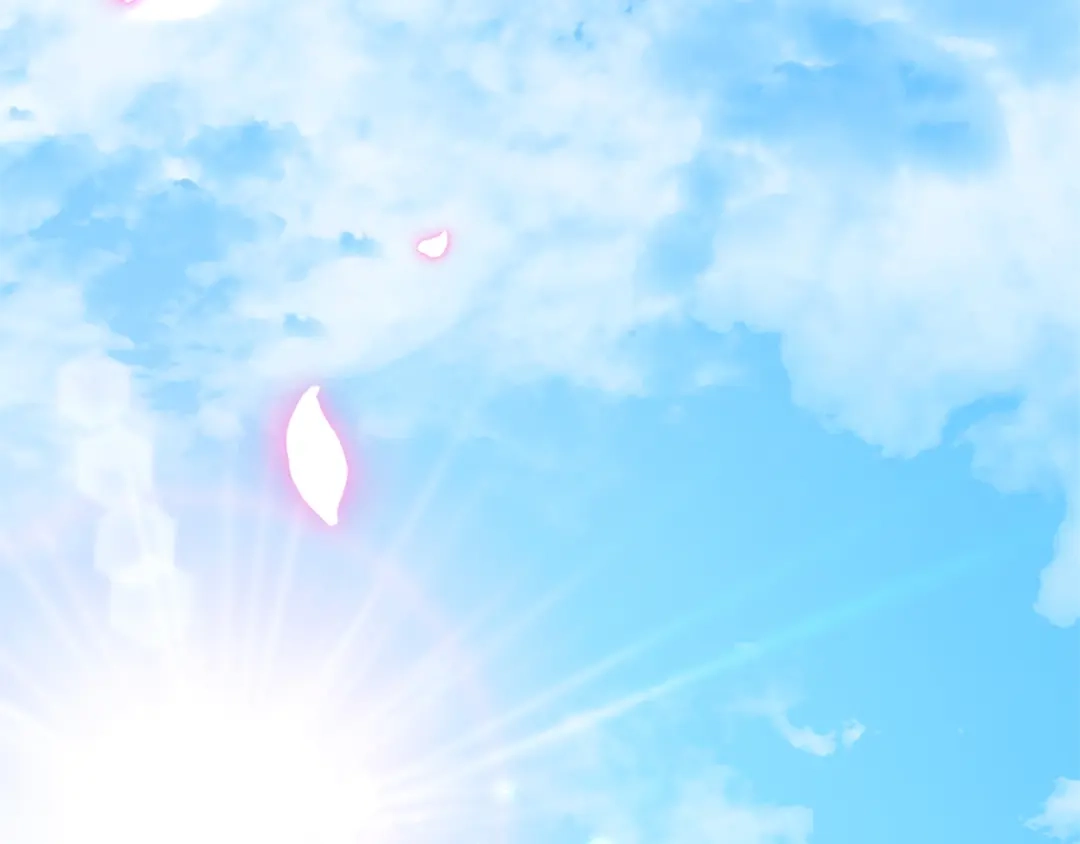 第222页