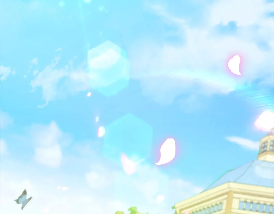 第224页