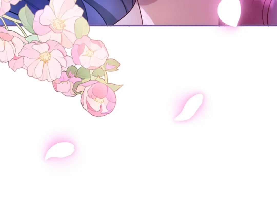 第242页