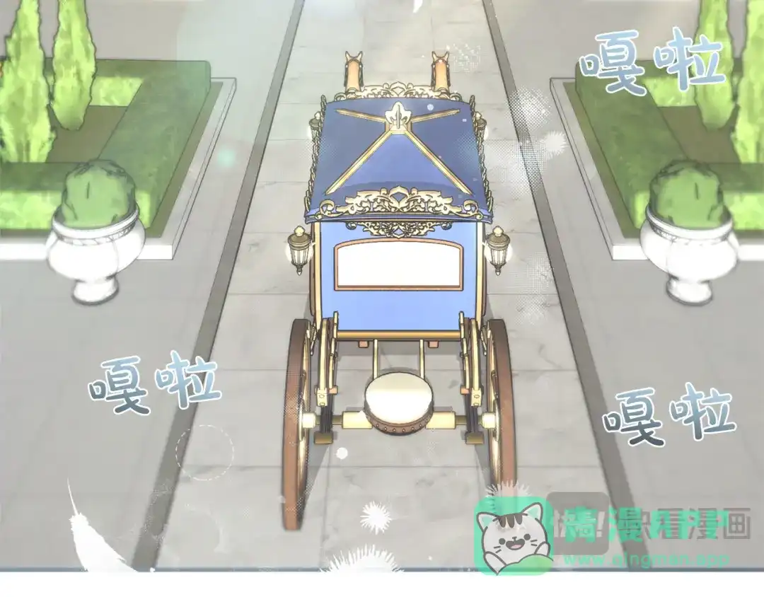 第146页