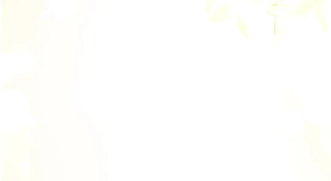第233页