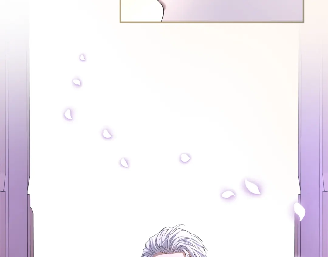 第239页