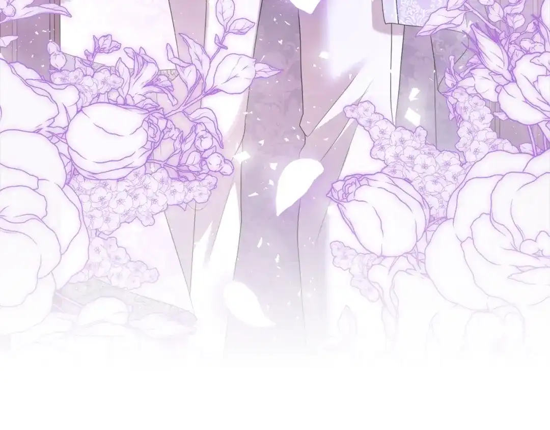 第242页