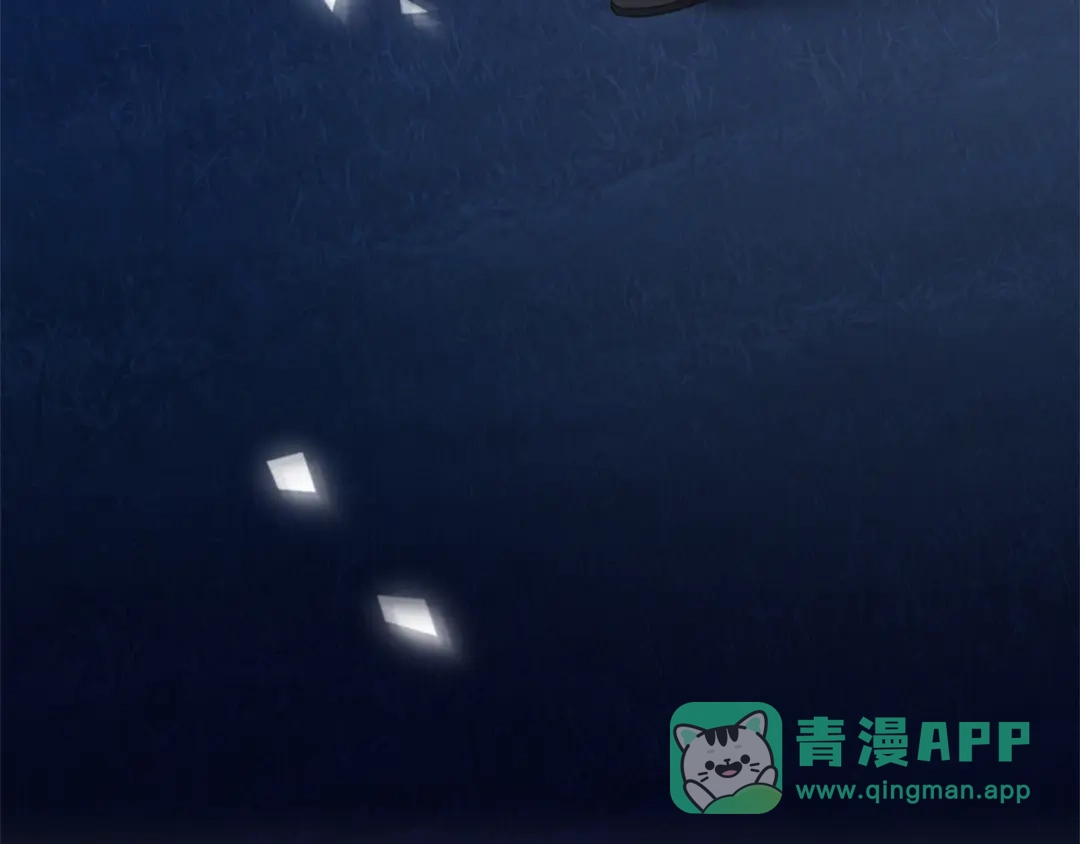 第221页