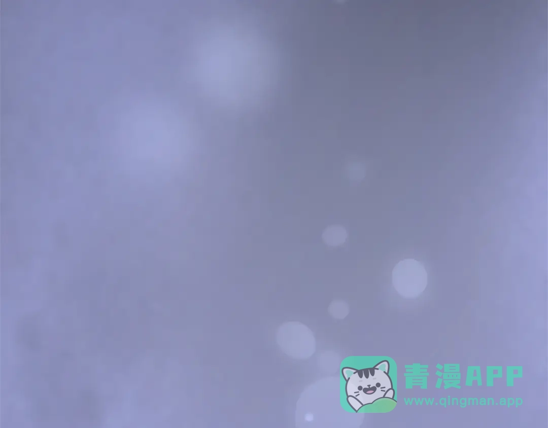 第241页