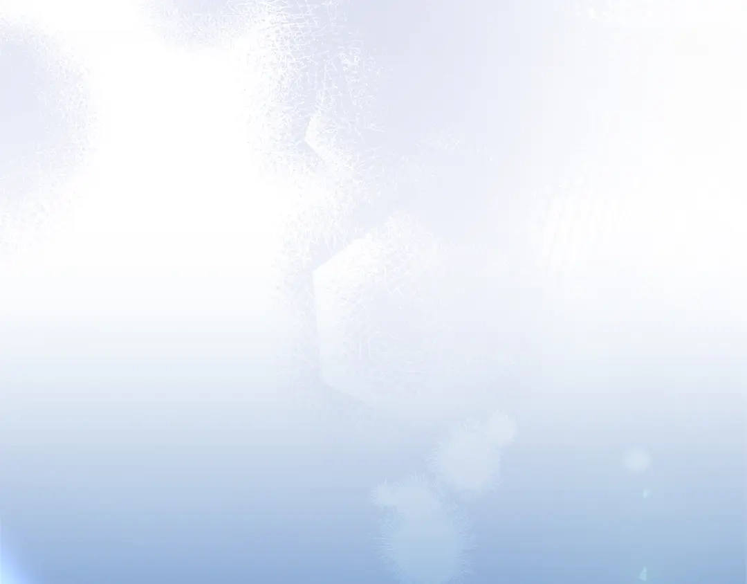 第275页