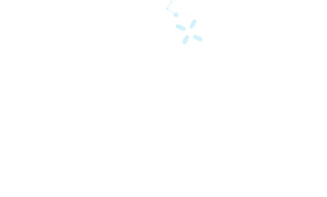 第267页