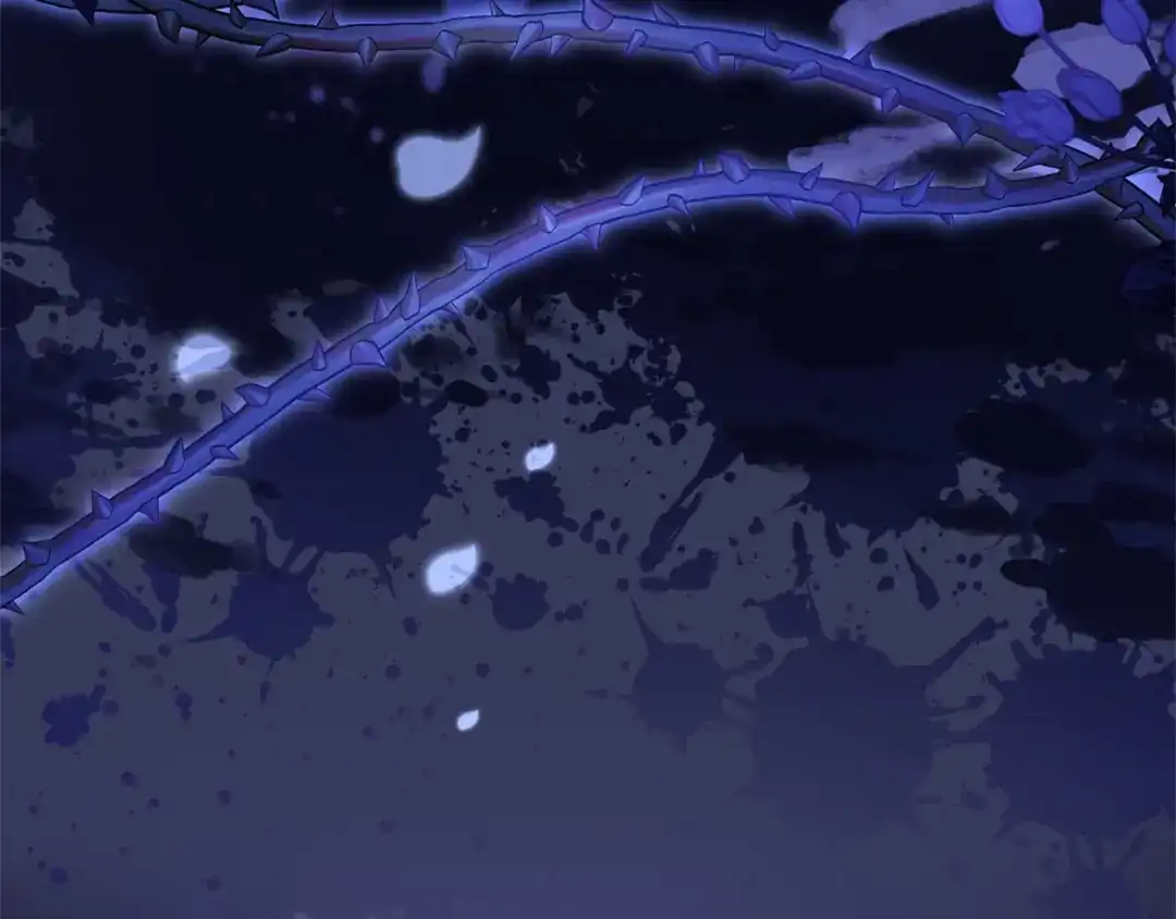 第224页