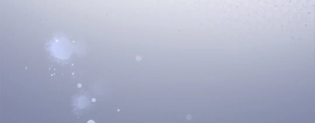 第207页