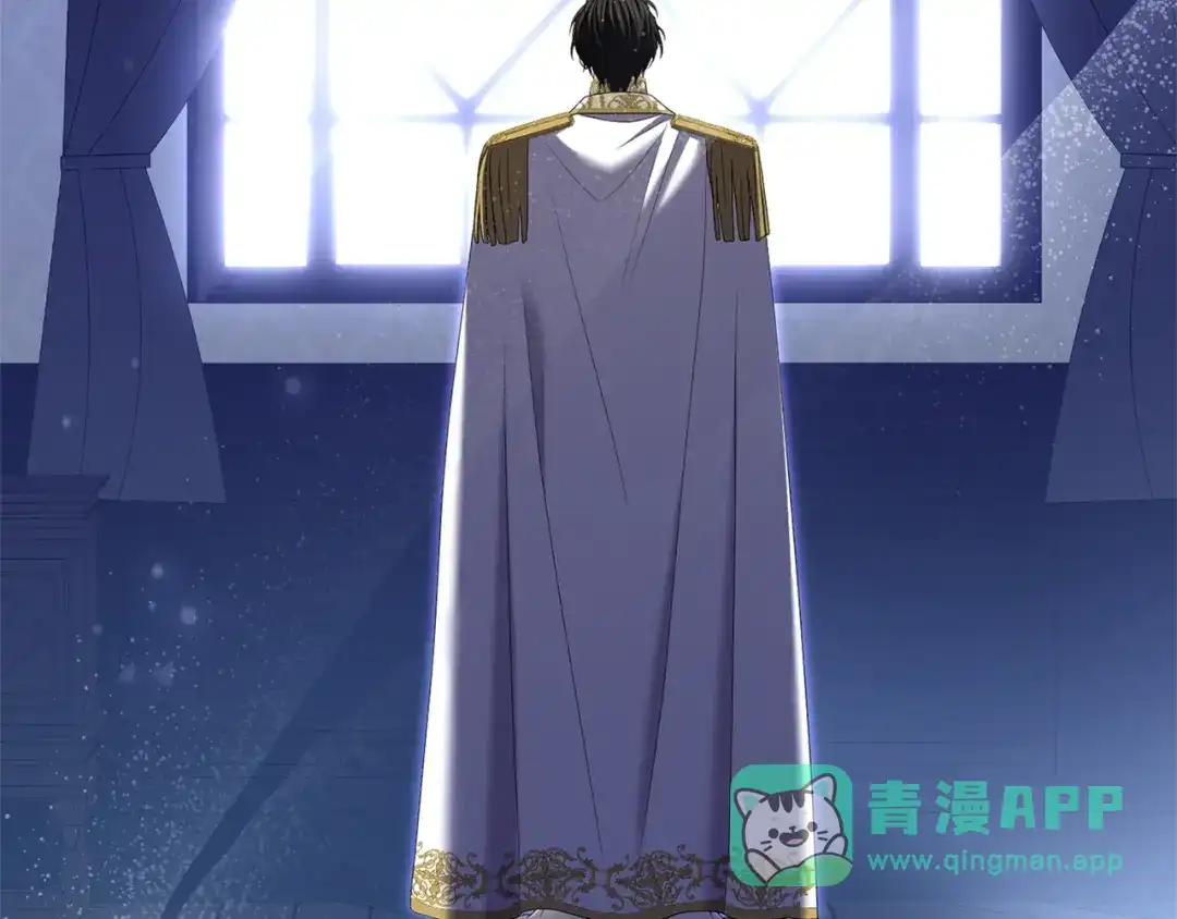 第231页