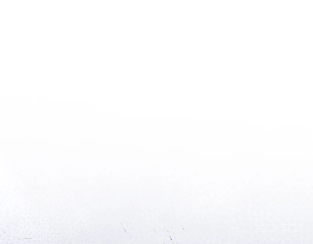 第242页