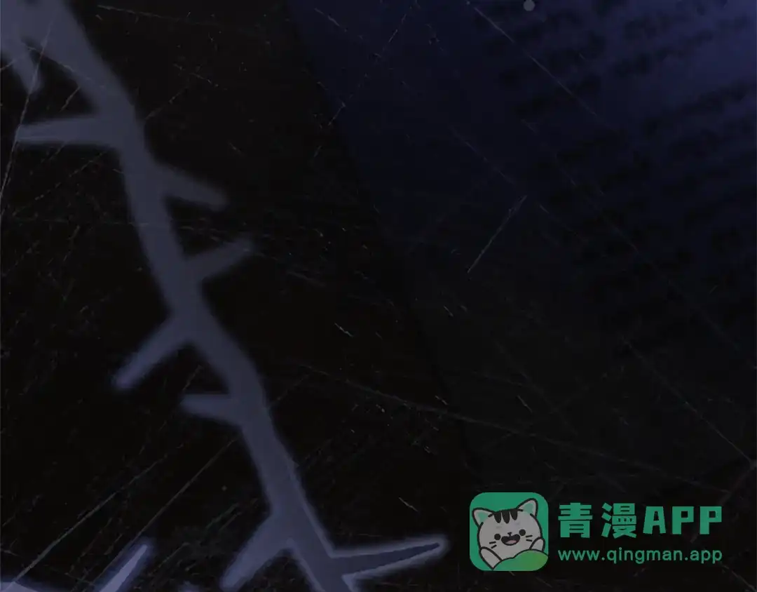 第261页