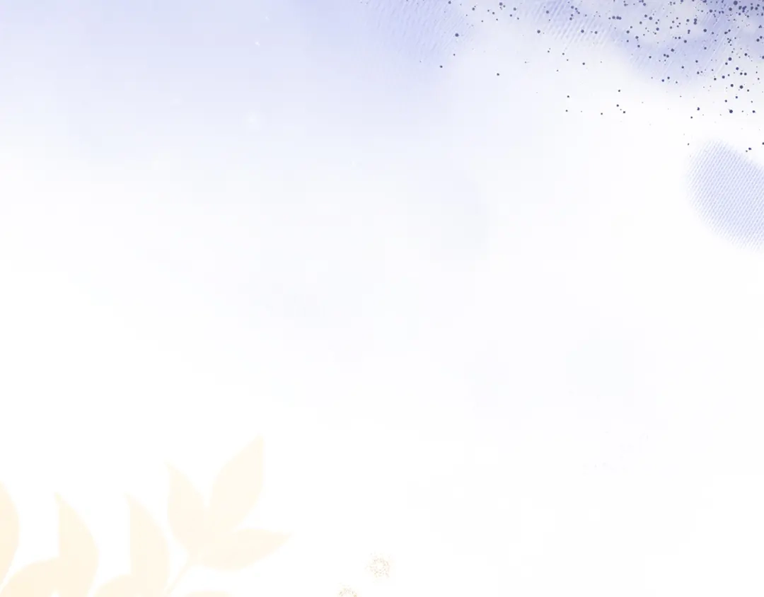 第228页