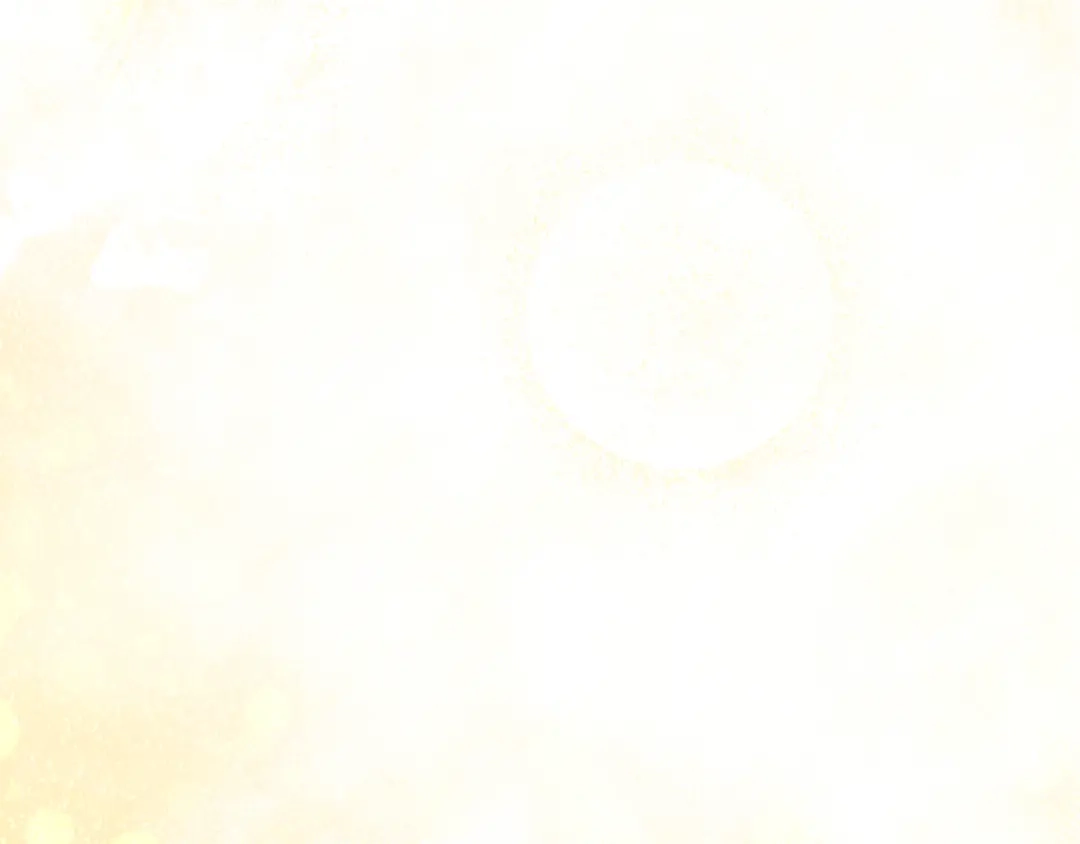 第235页