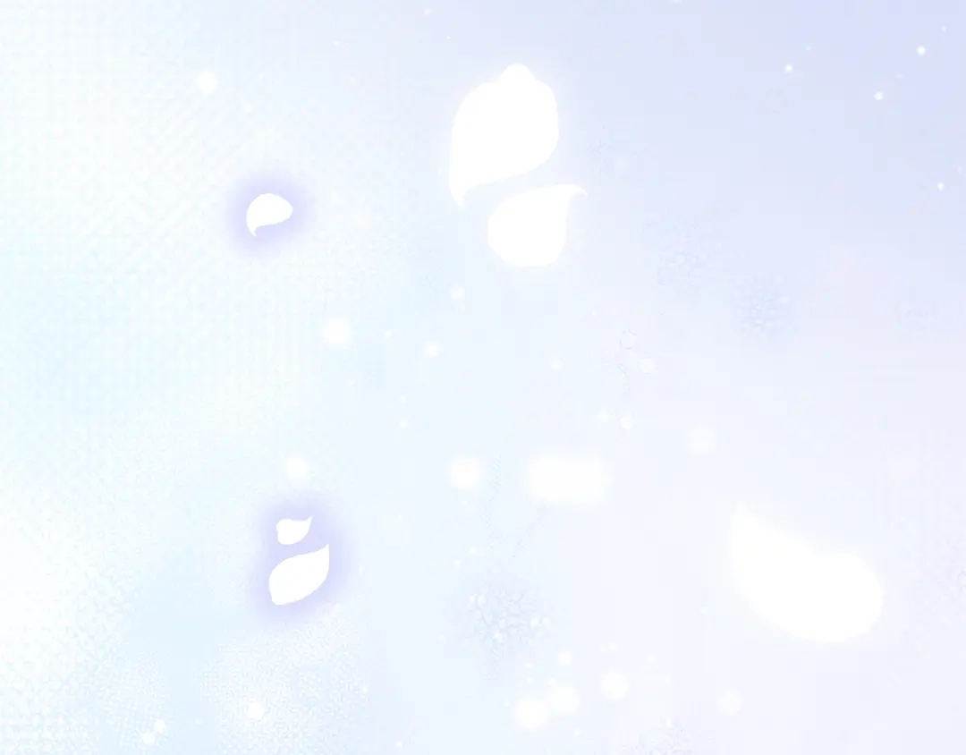 第247页