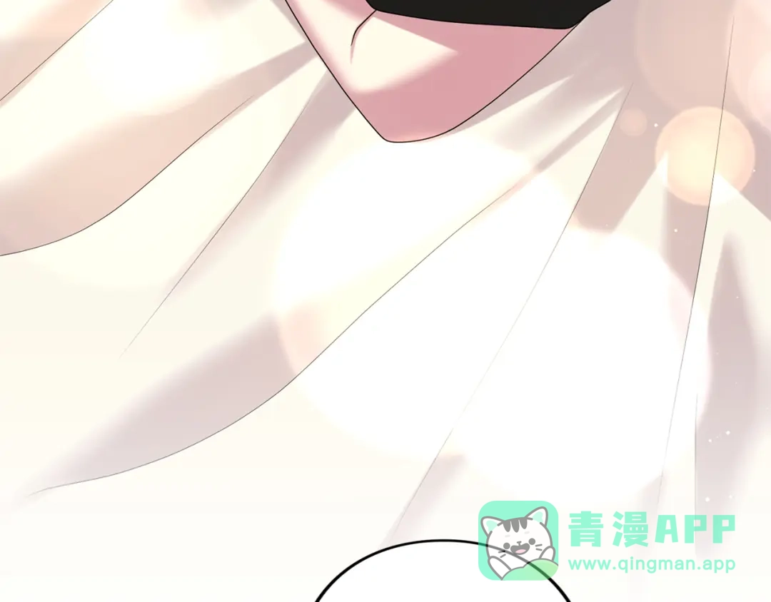 第231页