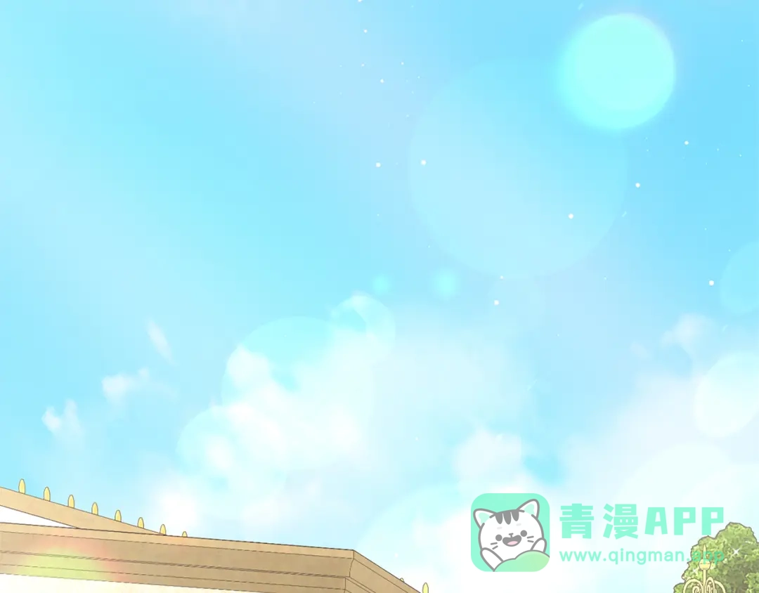 第251页