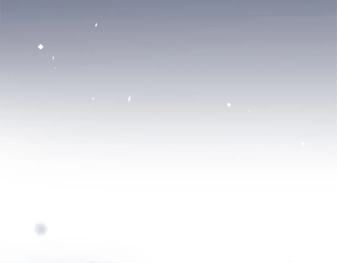 第217页