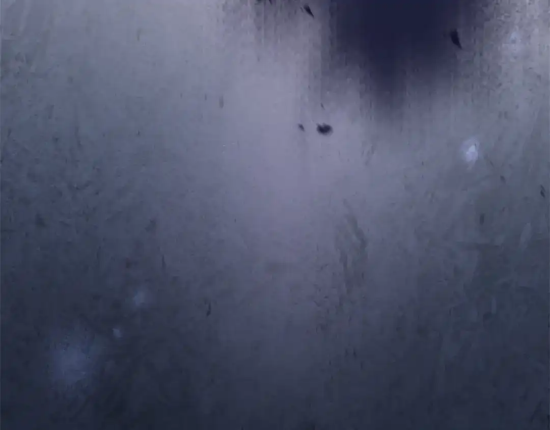 第232页