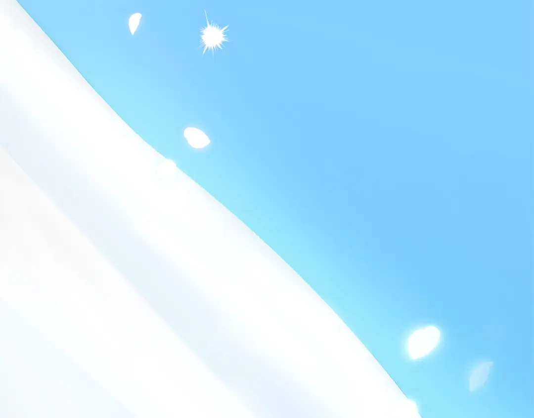 第250页