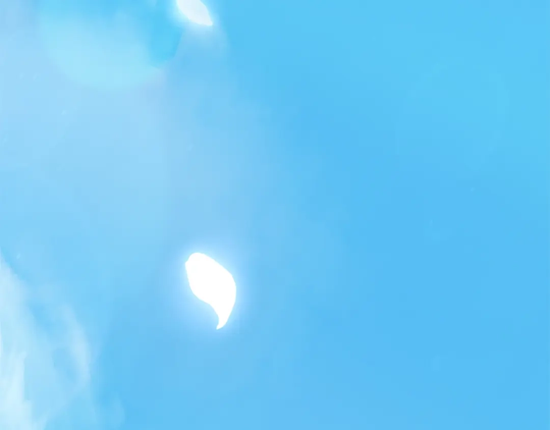 第253页