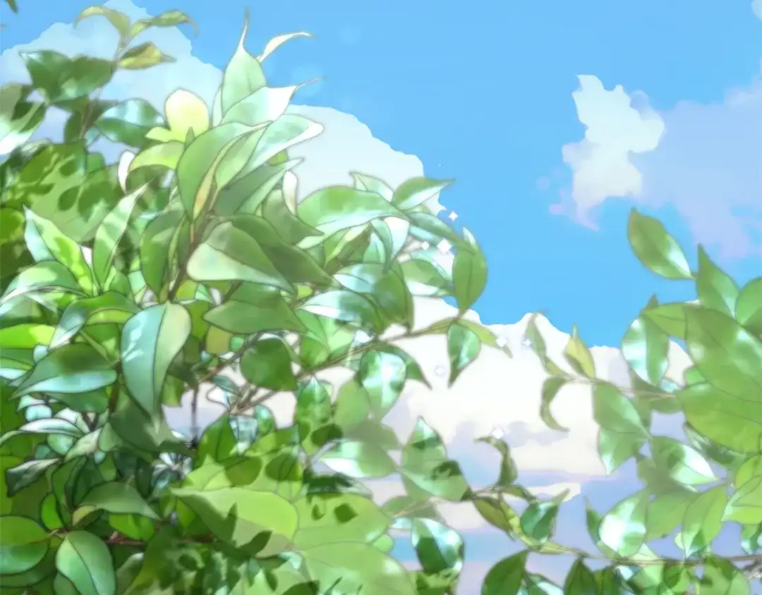 第217页