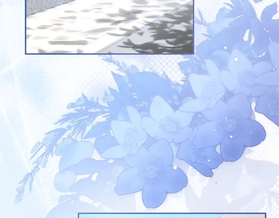 第260页