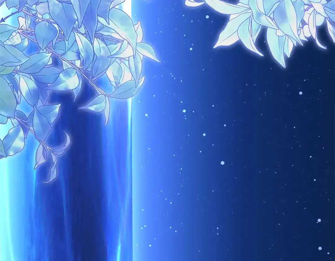 第237页