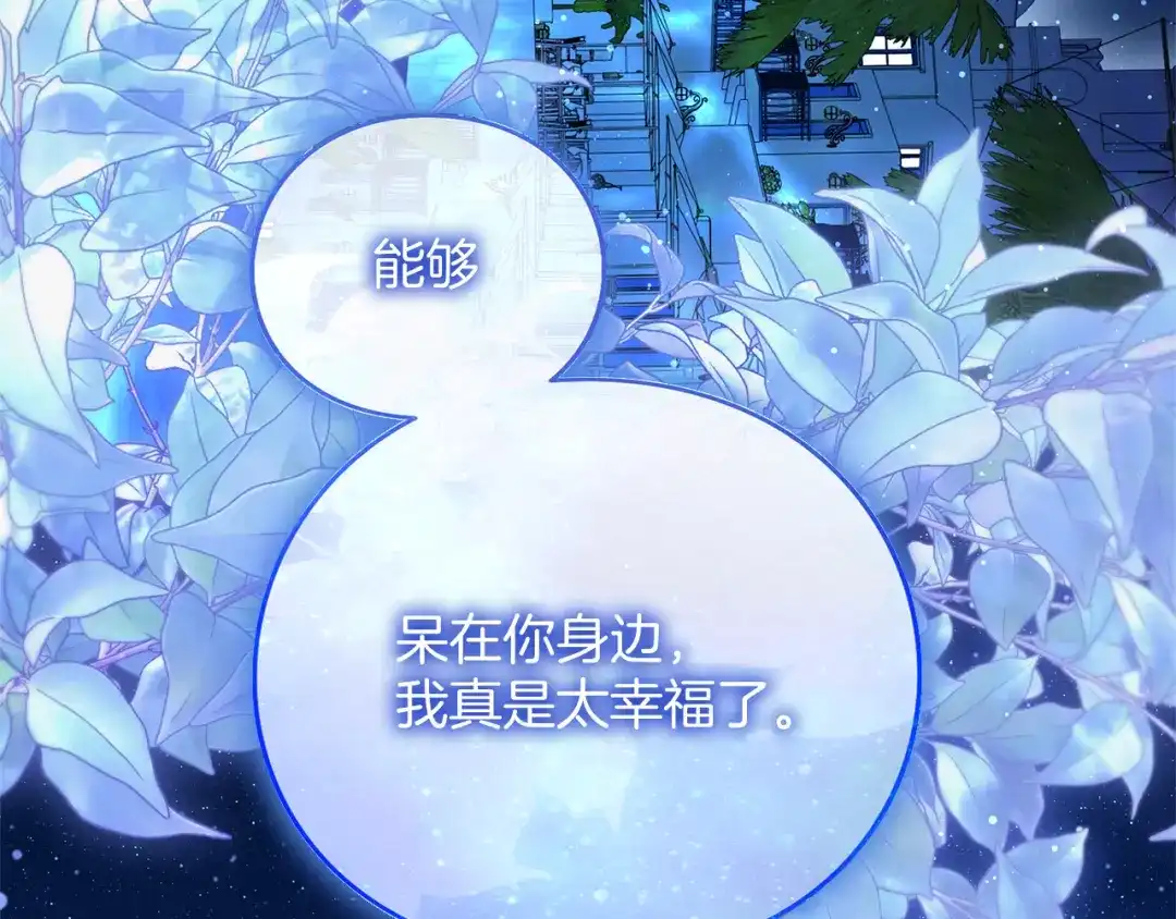 第242页