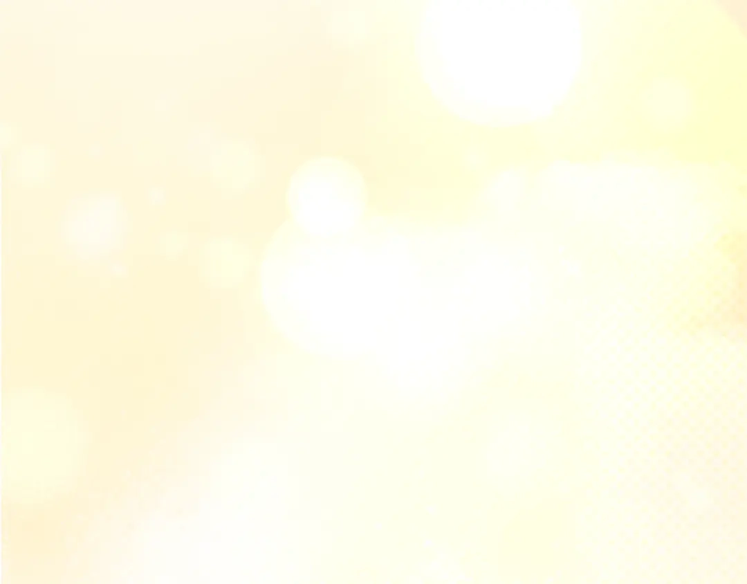 第234页