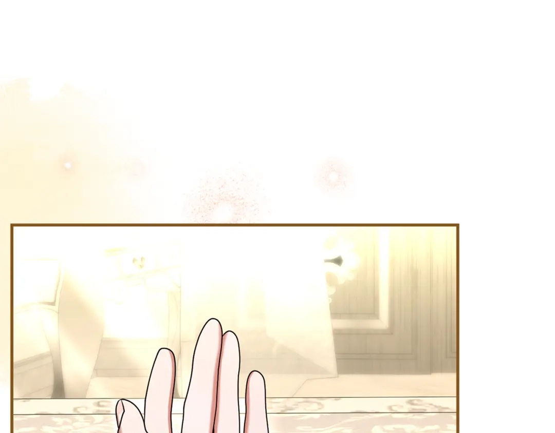 第224页