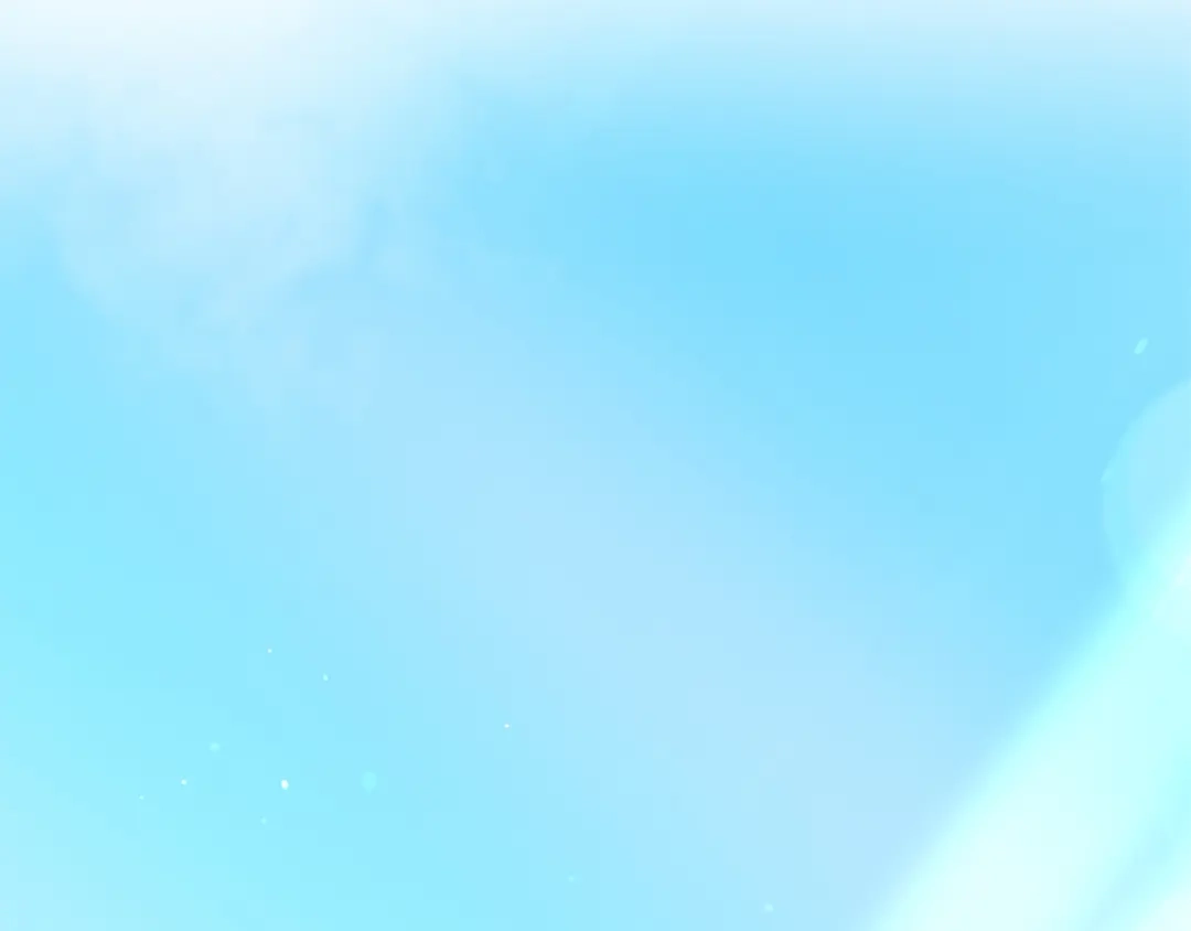 第240页