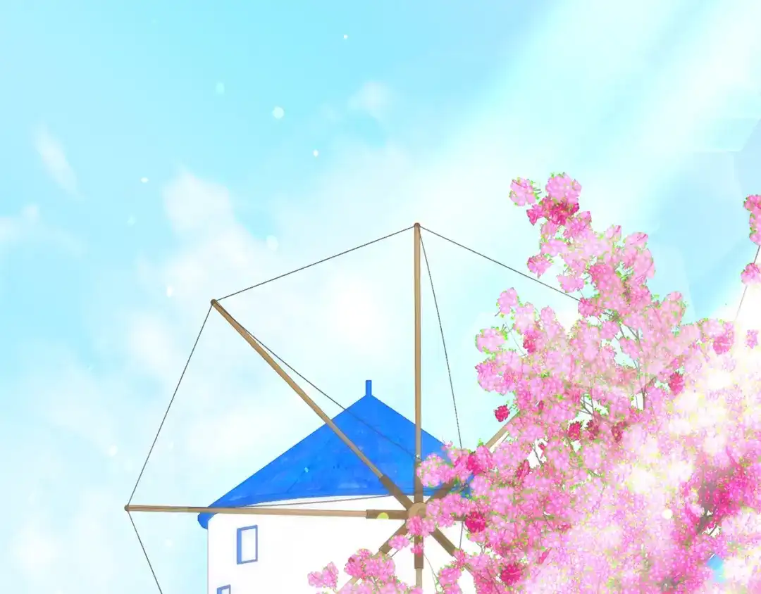 第241页