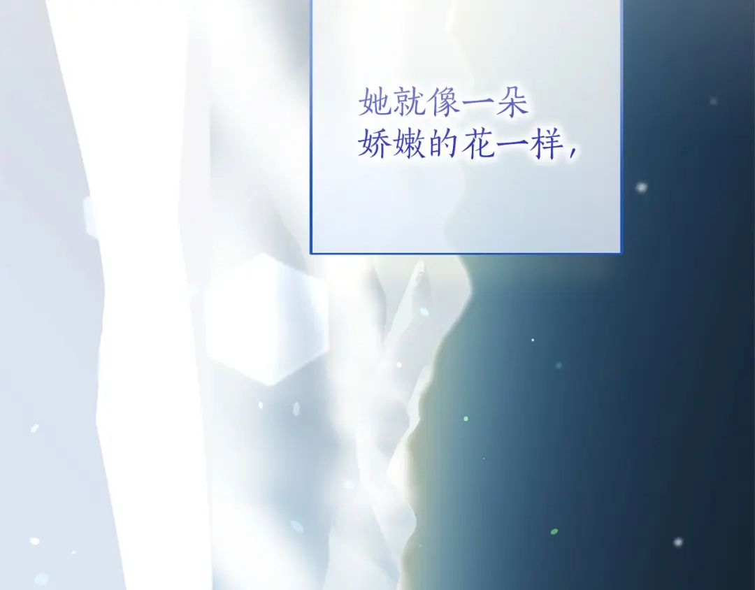 第206页