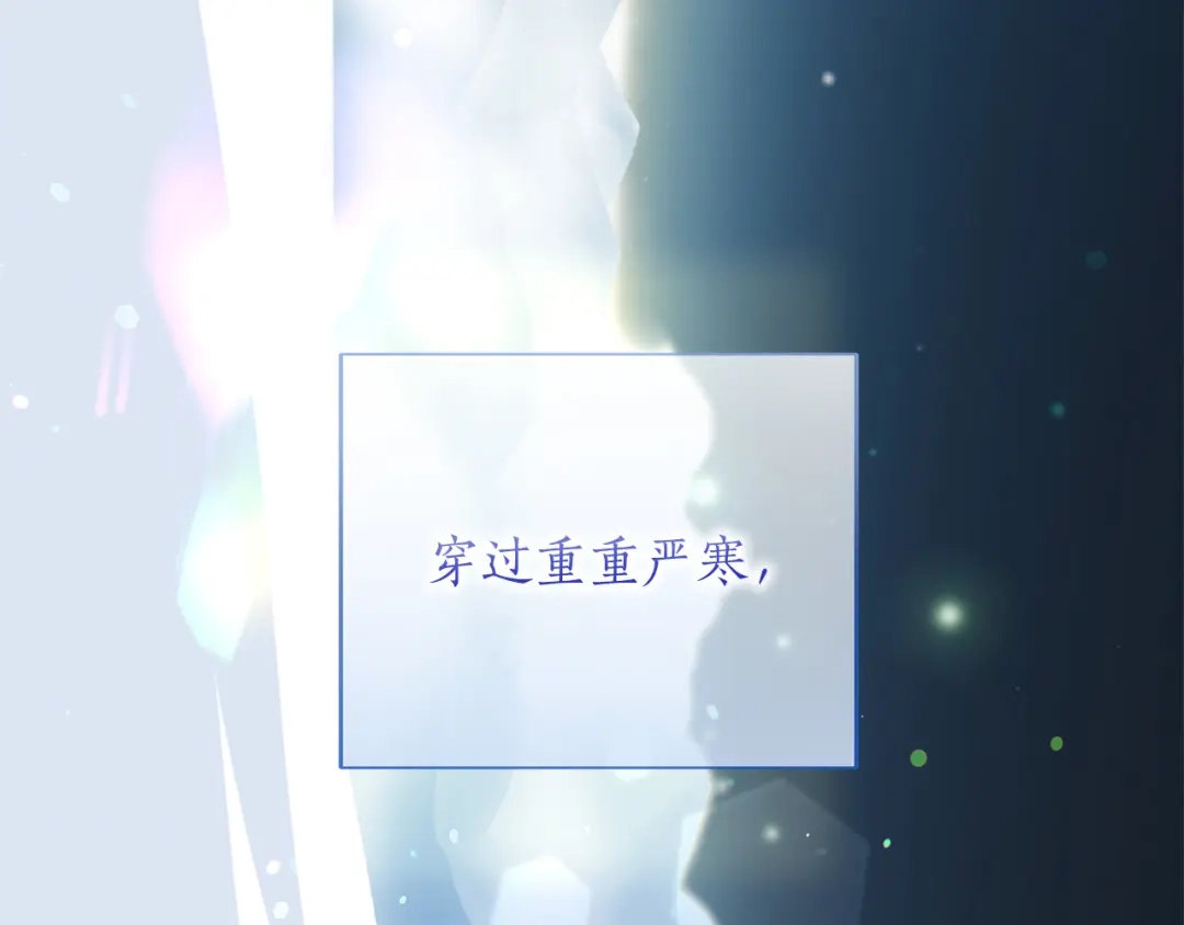 第207页